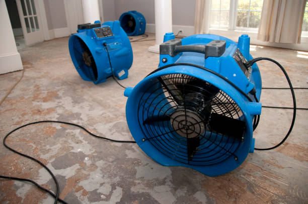 Best Fire Damage Restoration  in Saranac Lake, NY