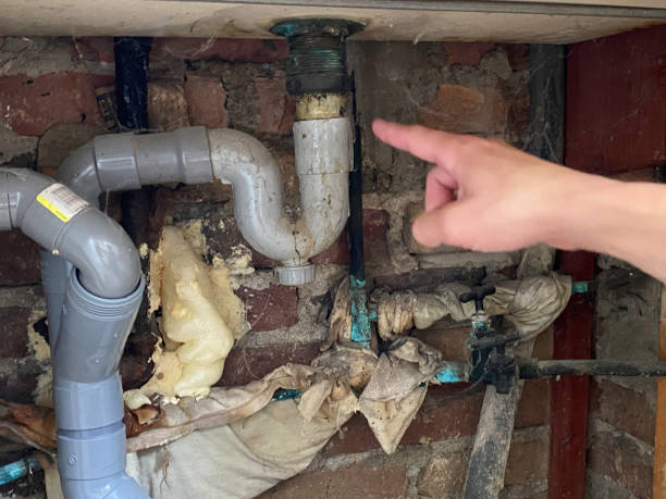 Best Professional water damage repair  in Saranac Lake, NY