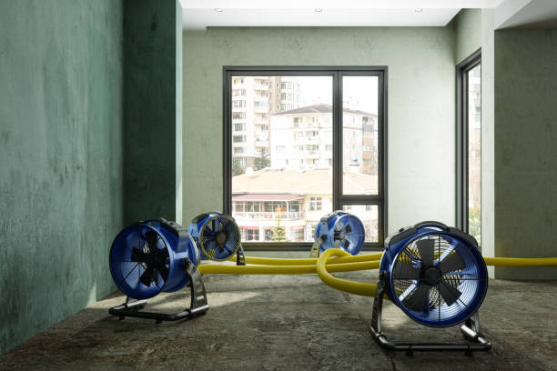 Best 24-hour water damage restoration  in Saranac Lake, NY